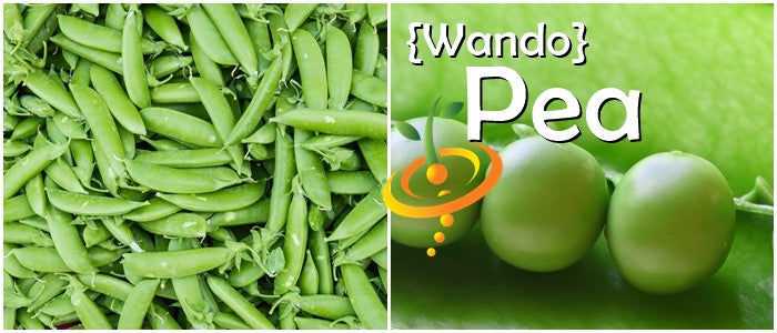 Pea - Wando.