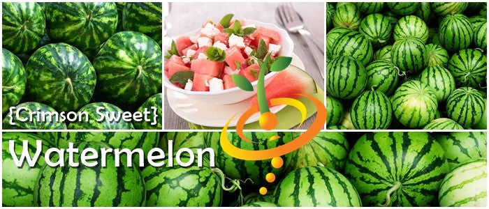 Watermelon - Crimson Sweet.