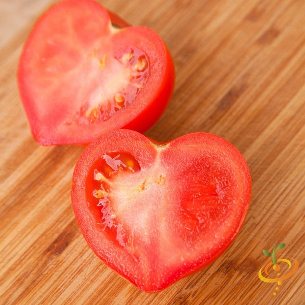 Tomato - Oxheart, Pink (Indeterminate)