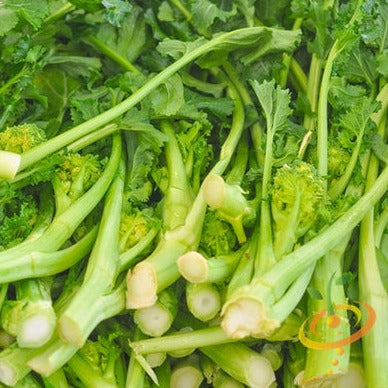 Broccoli - Rapini (Raab)