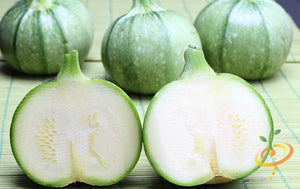 Round Zucchini Summer Squash Seeds (100% Heirloom/Non-Hybrid/Non-GMO)