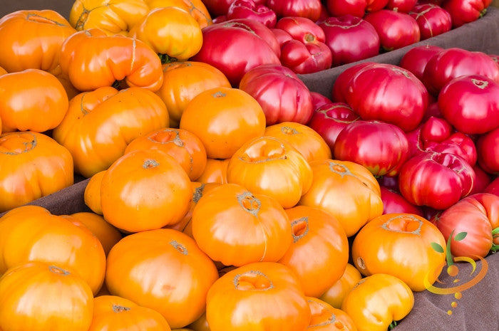 Pink Beefsteak Tomato  (100% Heirloom/Non-Hybrid/Non-GMO)